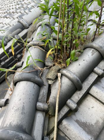 和瓦屋根の雨漏り現調(吉原)