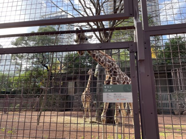 【栃木市】大好きな動物園🦒（河崎）